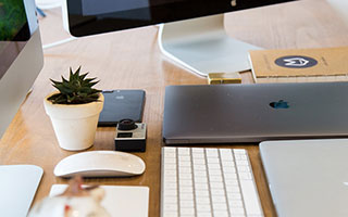 中国九游体育-惊险刺激：猛虎与雄鹿的比赛将掀起风波，猛虎和雄狮