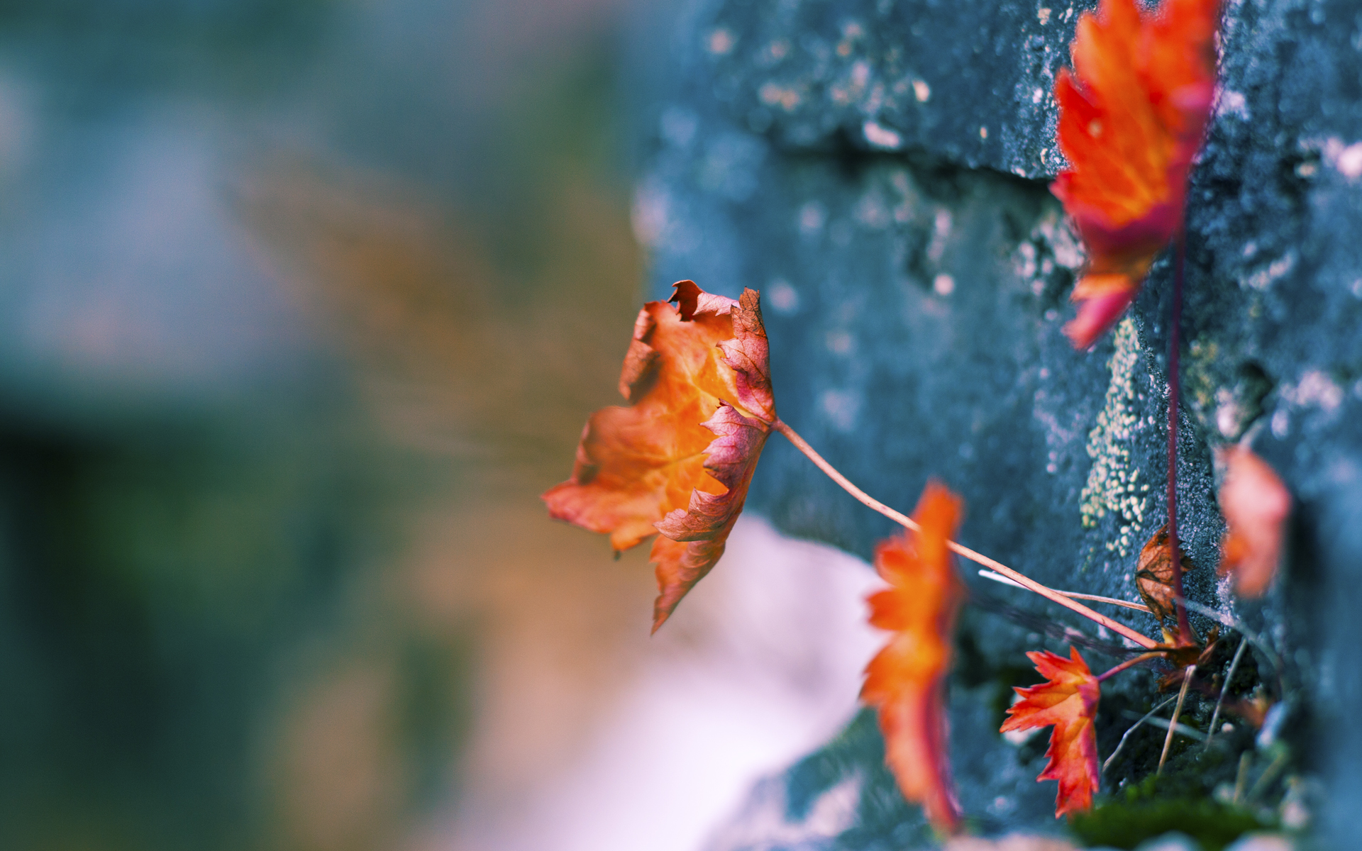 激情四溢:紧张激烈的季后赛最精彩比赛盘点,季后赛最新绝杀瞬间