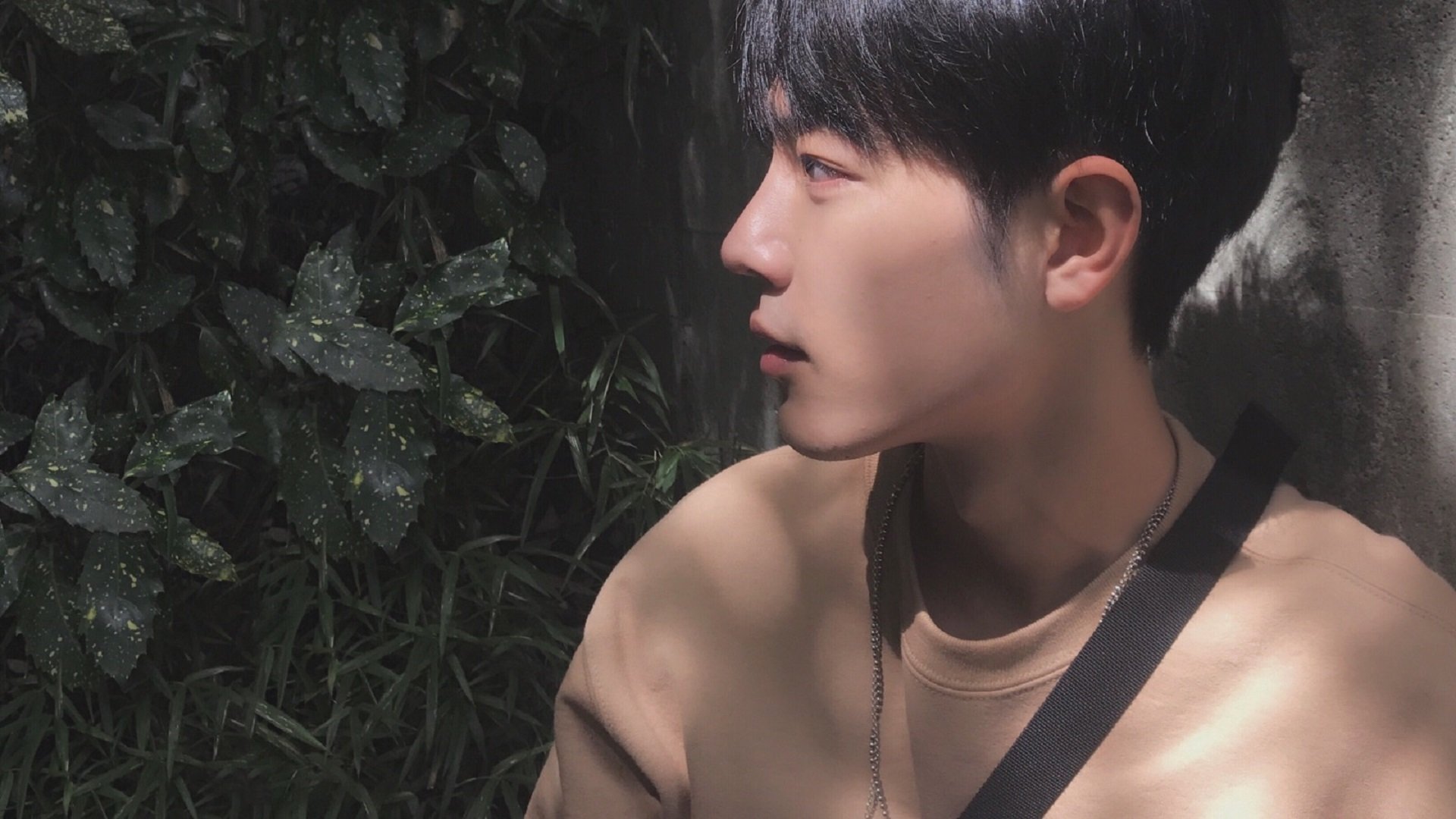 绿色“智慧场馆+低碳建筑”行业新标准在全国推广落地，行业绿色发展不断推进