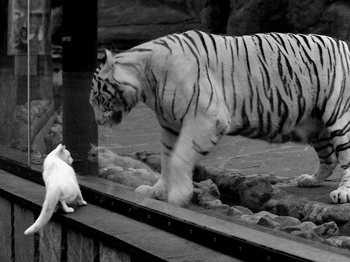 九游体育官网-巴萨新援表现亮眼，助攻带动全队士气，巴萨2021引援