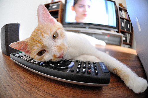 曼城客场逼平谢菲联,积分榜上仍占优势,曼城vs谢菲联