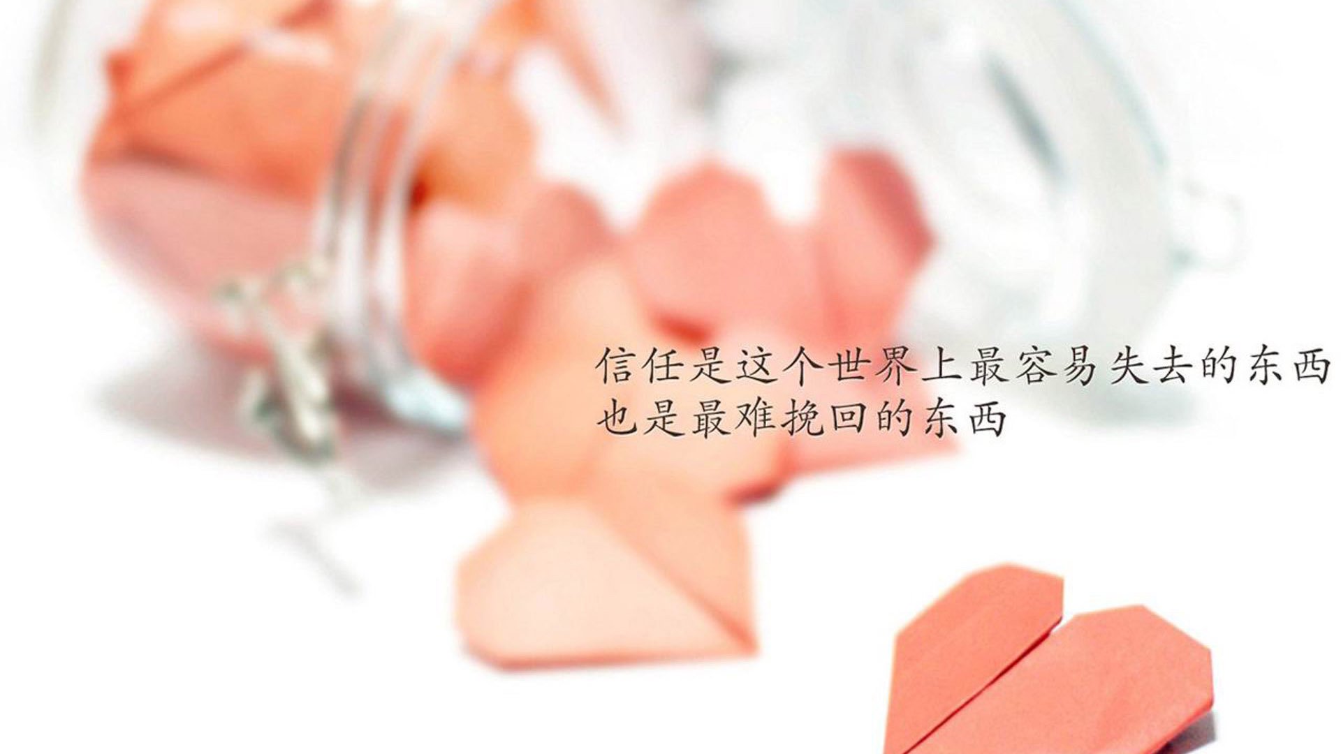 全国青少年武艺比赛释放青春热情，全国青少年俱乐部武术套路赛