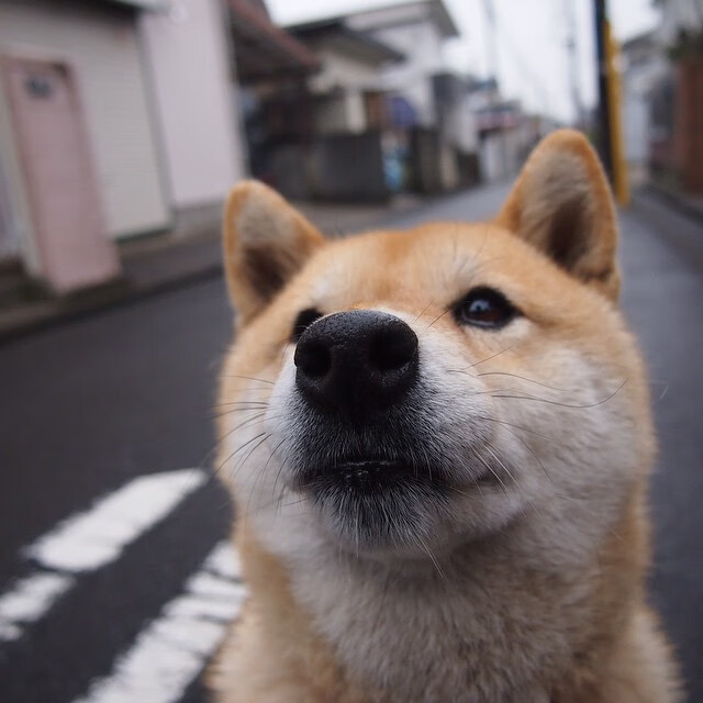 青少年体育赛事培训体系，青少年体育赛事培训体系是什么