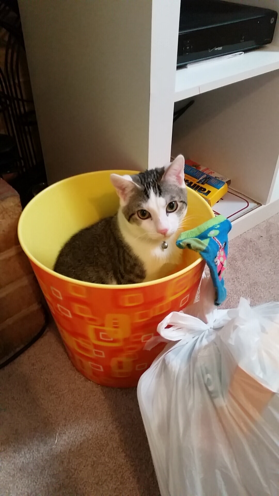 中国男足主帅关注中超年轻球员表现，中国男足年轻前锋