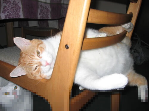 亚冠联赛中国队逆袭 球员表现稳定,亚冠中国球队怎么回事