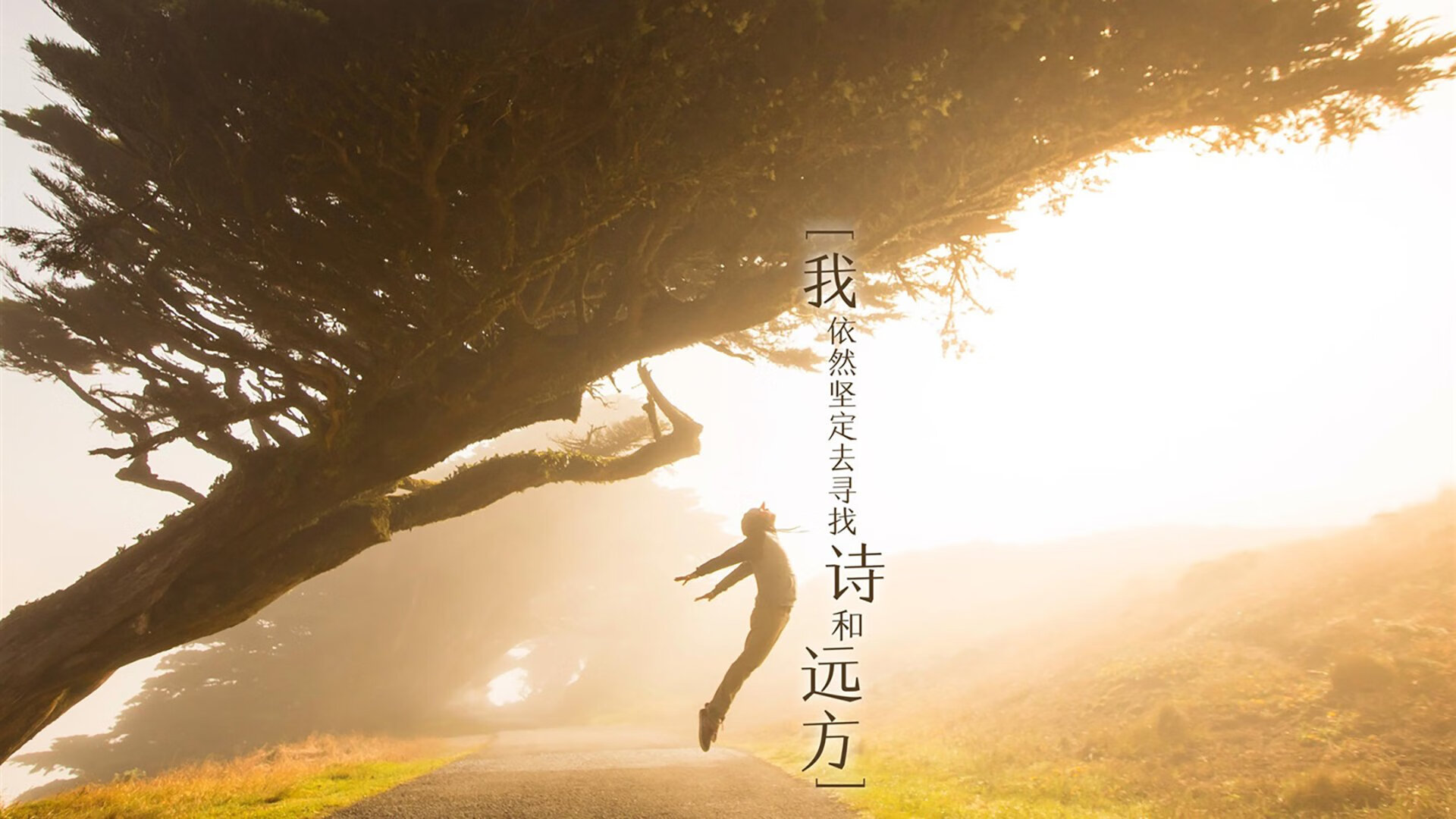 体育文化节展演民族体育焕发新活力，体育文化艺术节主题