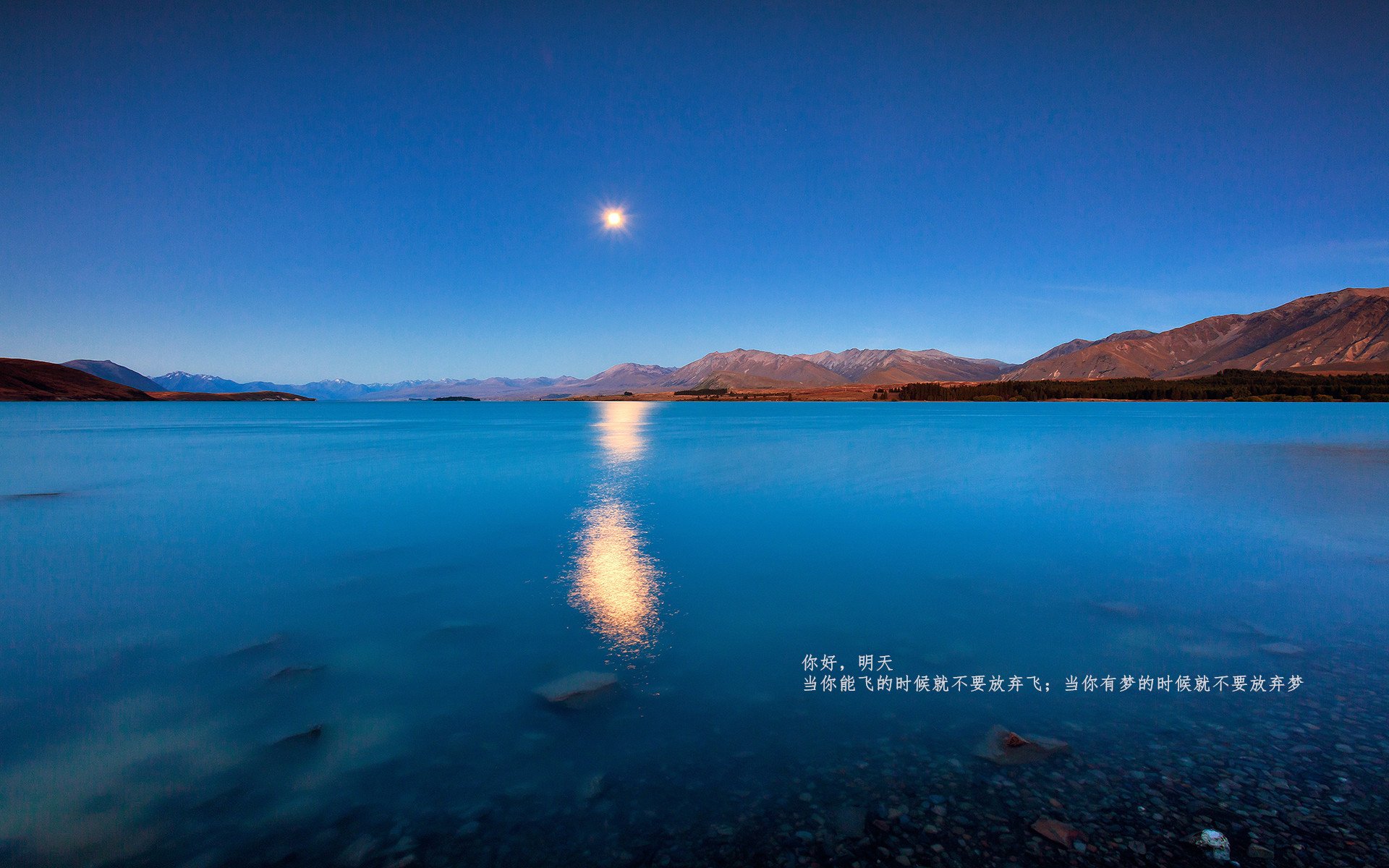 出发弹跳力与速度提升关系，发展弹跳力可以采用的训练方法是