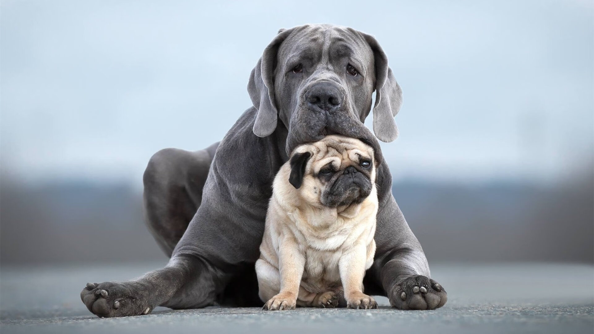 卡昂凭借前场高压掌控比赛节奏,卡昂位置