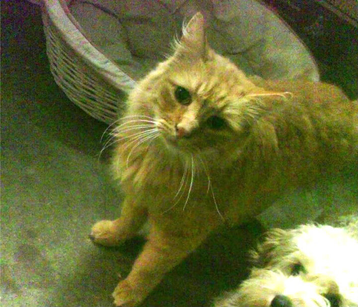 九游体育app-国家队关键时刻缺乏得分主控手，国家队没填的坑